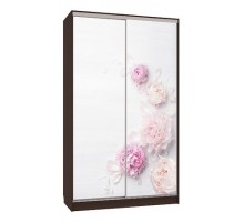 Шкаф-купе Рио 7-600 17