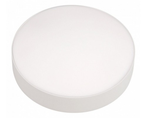 Накладной светильник iLedex Technical Mercury 5551-24W-D160-3/4/6K-WH