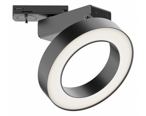 Светильник на штанге Maytoni Technical Rim TR044-1-12W4K-B