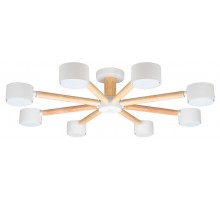 Потолочная люстра Arte Lamp TENDA A1624PL-8WH