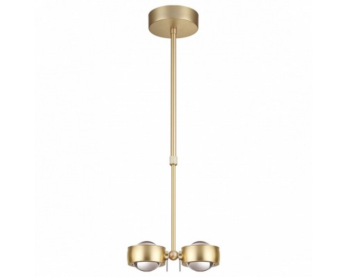 Светильник на штанге Odeon Light Ottico 3874/20L Светильник на штанге Odeon Light Ottico 3874/20L