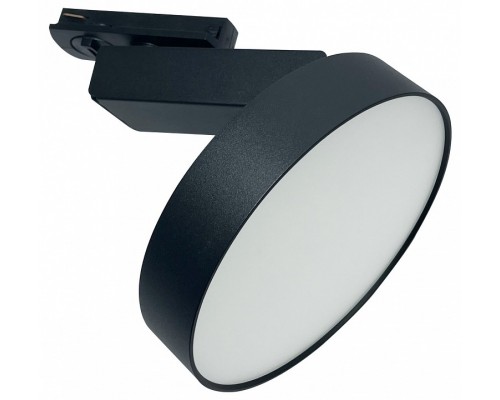 Светильник на штанге Maytoni Technical Zon TR043-1-12W4K-B