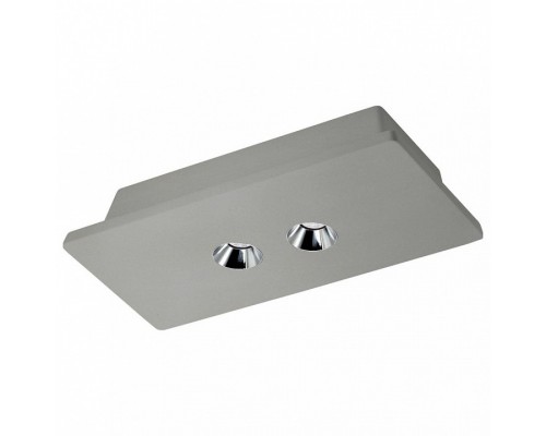 Накладной светильник Loft it Architect OL1072-GH/2 Накладной светильник Loft it Architect OL1072-GH/2
