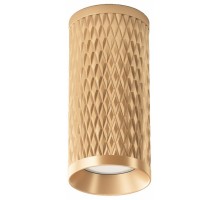 Накладной светильник Maytoni Technical Focus Design C036CL-01G