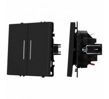 Выключатель проходной двухклавишный без рамки Arlight SWT 054267