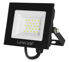 Настенно-потолочный прожектор Luminarte LFL-30W LFL-30W/06