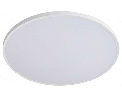 Накладной светильник Lightstar Arco Eco 225741 Накладной светильник Lightstar Arco Eco 225741