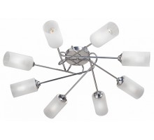 Потолочная люстра Vitaluce  V4909-9/8PL