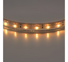 Лента светодиодная Lightstar  402002