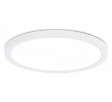 Накладной светильник Ambrella Light FZ FZ1909