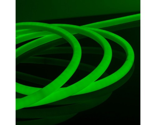 Шнур световой Elektrostandard LS003 a047019 Шнур световой Elektrostandard LS003 a047019
