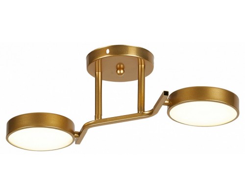 Светильник на штанге Escada Starlight 10273/2LED Светильник на штанге Escada Starlight 10273/2LED
