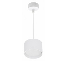 Подвесной светильник Reluce Technical 53006 53006-0.9-001LD GX53 WT