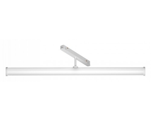 Светильник на штанге Maytoni Technical Larc TR086-2-25W3K-W
