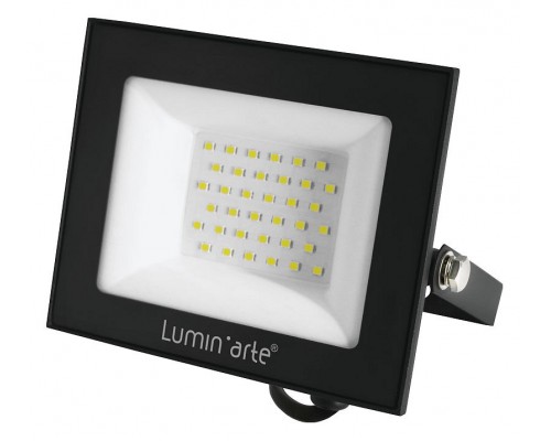 Настенно-потолочный прожектор Luminarte LFL-50W LFL-50W/06