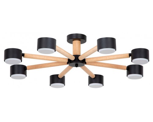 Потолочная люстра Arte Lamp TENDA A1624PL-8BK Потолочная люстра Arte Lamp TENDA A1624PL-8BK