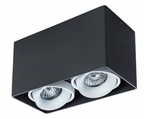 Накладной светильник Arte Lamp Pictor A5654PL-2BK Накладной светильник Arte Lamp Pictor A5654PL-2BK