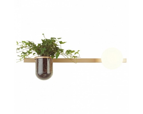 Бра Odeon Light Flower 4682/1WA Бра Odeon Light Flower 4682/1WA
