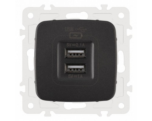 Розетка USB, без рамки Arte Milano am-205 205.46-1.black
