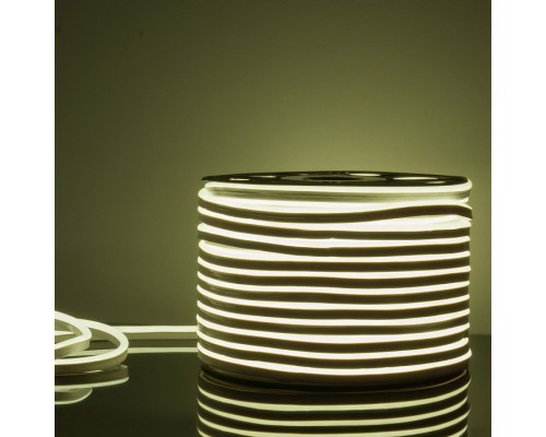 Лента светодиодная Elektrostandard LS001 a040597