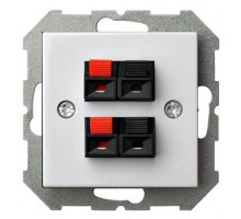 Розетка акустическая без рамки LIREGUS EPSILON 28-037