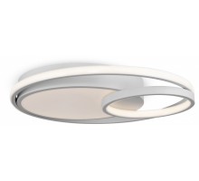 Накладной светильник Freya  FR10028CL-L80W