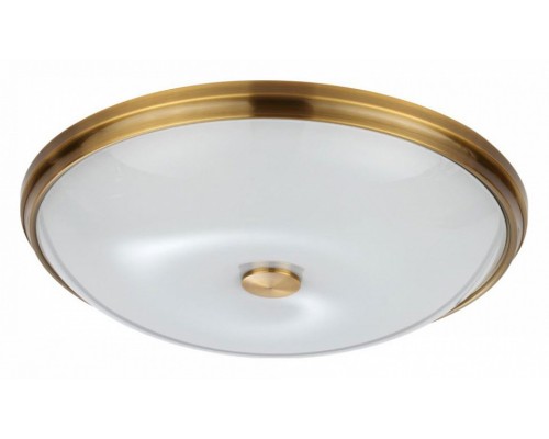 Накладной светильник Odeon Light Pelow 4956/5 Накладной светильник Odeon Light Pelow 4956/5