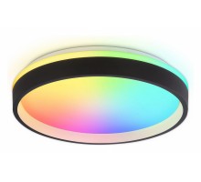 Накладной светильник Ambrella Light FZ FZ604