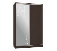 Шкаф-купе Рио 1-600 птицы