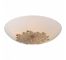 Накладной светильник Arte Lamp Provence A4548PL-5GO