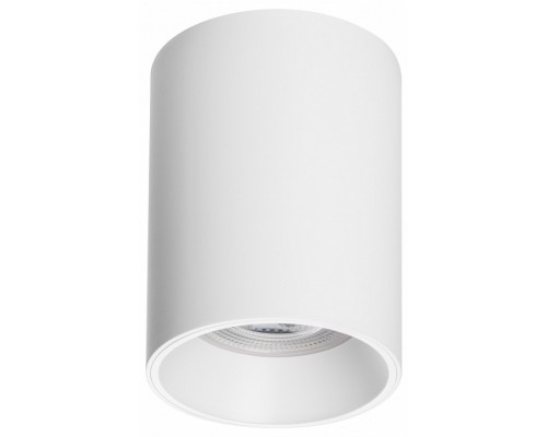 Накладной светильник Lightstar Rullo 213436