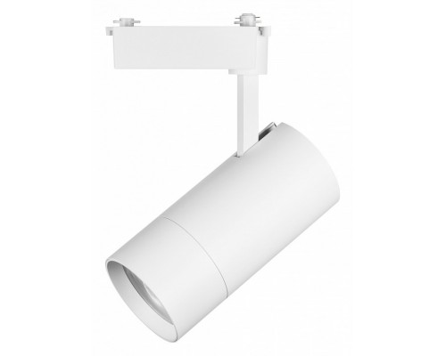 Светильник на штанге Lightstar Volta 229446 Светильник на штанге Lightstar Volta 229446