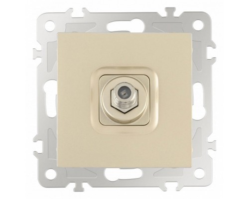 ТВ-розетка без рамки Arte Milano am-206 206.42-1.shampan