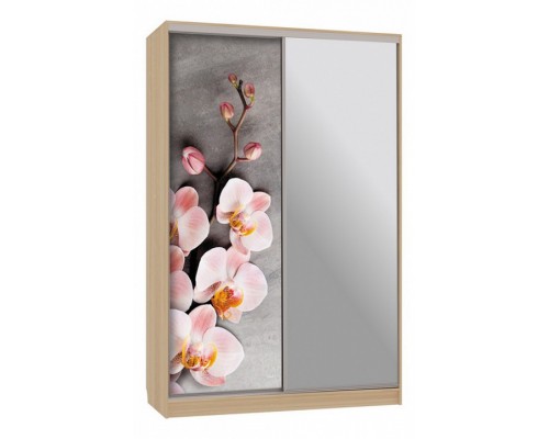 Шкаф-купе Гранд 9-600 78 Шкаф-купе Гранд 9-600 78