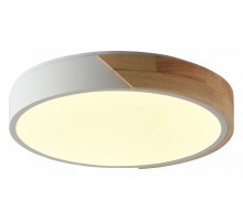 Накладной светильник Zortes Alberro ZRS.01289.24