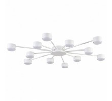 Потолочная люстра Lumion TORINA 8343/12C