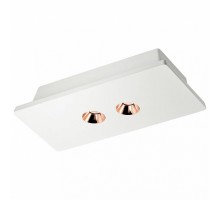 Накладной светильник Loft it Architect OL1072-WG/2