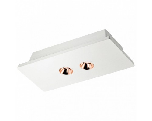 Накладной светильник Loft it Architect OL1072-WG/2 Накладной светильник Loft it Architect OL1072-WG/2