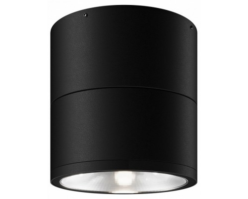 Накладной светильник Maytoni Spin O310CL-L12GF3K Накладной светильник Maytoni Spin O310CL-L12GF3K