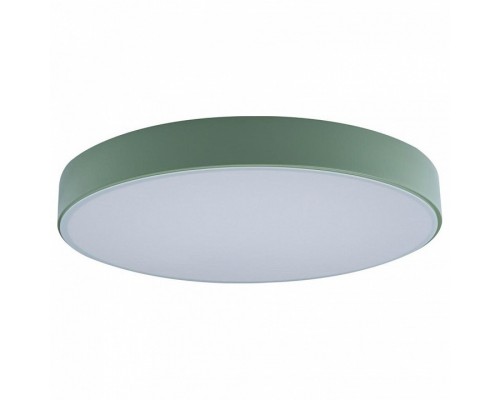 Накладной светильник Loft it Axel 1 10002/24 Green