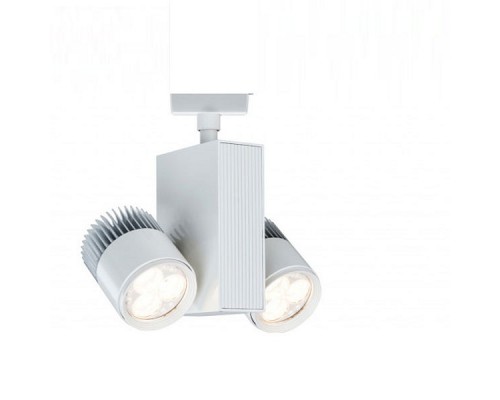 Светильник на штанге Paulmann Spot Tecled 95164 Светильник на штанге Paulmann Spot Tecled 95164