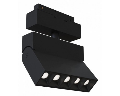 Светильник на штанге Maytoni Track lamps TR015-2-10W4K-B