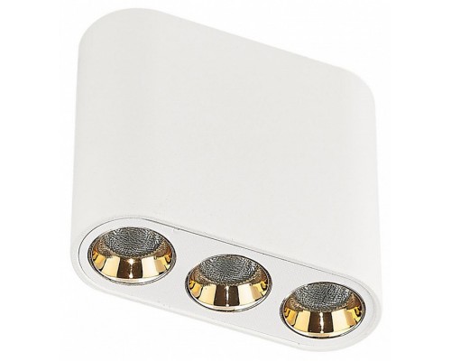 Накладной светильник Odeon Light Small 7091/8CL Накладной светильник Odeon Light Small 7091/8CL