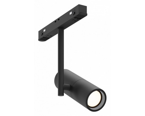 Светильник на штанге Maytoni Technical Elti TR005-2-12W4K-B