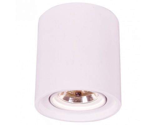 Накладной светильник Arte Lamp Tubo A9262PL-1WH
