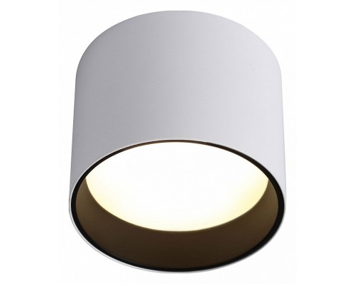 Накладной светильник Ambrella Light TN TN5303