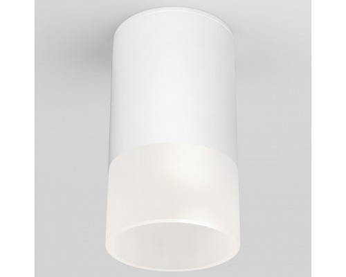 Накладной светильник Elektrostandard Light LED a057157