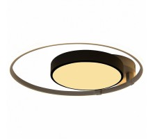 Накладной светильник Escada 10244 10244/2LED
