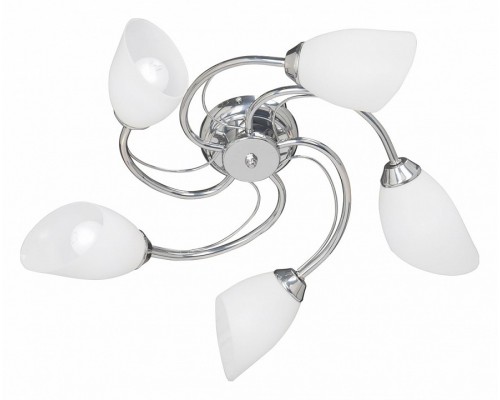 Потолочная люстра Vitaluce V3184 V3236/5PL Потолочная люстра Vitaluce V3184 V3236/5PL