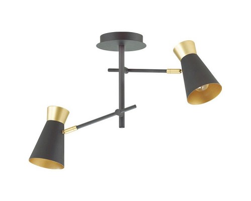 Светильник на штанге Lumion Liam 3790/2C Светильник на штанге Lumion Liam 3790/2C